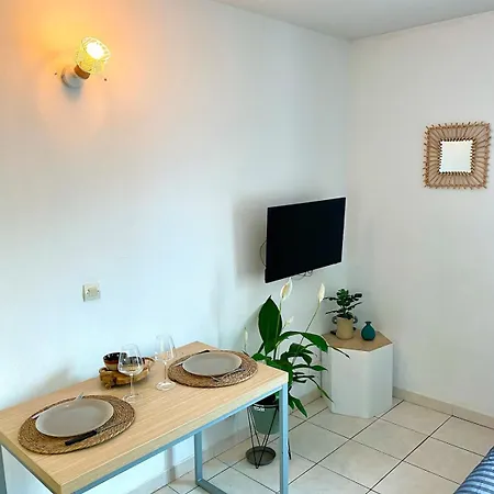 Charming With Swimming Pool Apartment Nizza