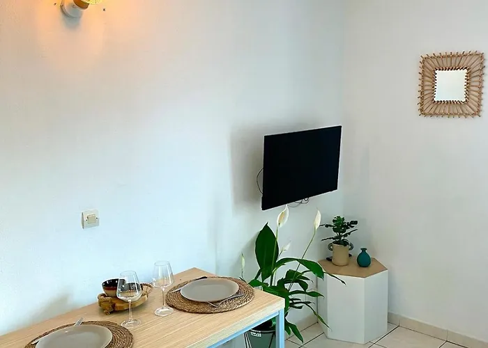 Charming With Swimming Pool Apartament Nicea