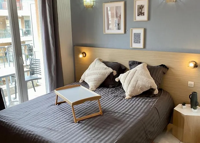 Charming With Swimming Pool 公寓 尼斯